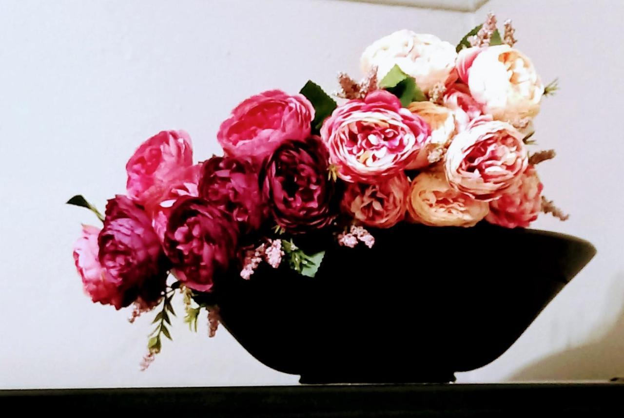 Peony Luxury Room With Wifi And Own Entrance ステレンボッシュ エクステリア 写真